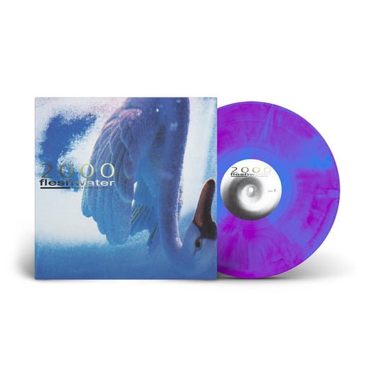 FLESHWATER - 2000: IN SERCH OF THE ENDLES SKY (VINILO SIMPLE + POSTER) (METALLIC BLUE)