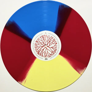 KING GIZZARD AND THE LIZARD WIZARD - POLYGONDWANALAND  (VINILO SIMPLE) (4-WAY COLORED VINYL) (FOLD-OUT POSTER)