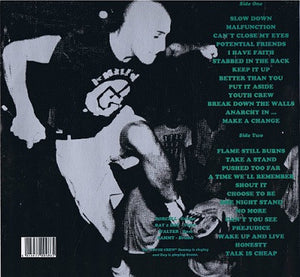 YOUTH OF TODAY - TAKE A STAND (LIVE) (VINILO SIMPLE | 2DA MANO, GERMANY 1992)