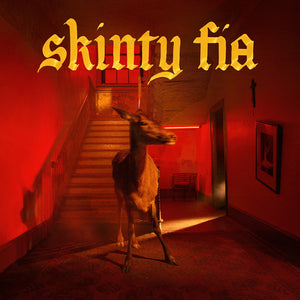 FONTAINES D.C. - SKINTY FIA (VINILO SIMPLE)