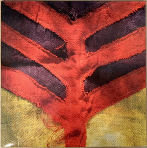 YEAH YEAH YEAHS - SHOW YOUR BONES (VINILO SIMPLE)