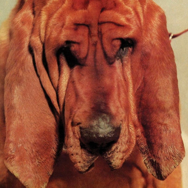 TY SEGALL - GOODBYE BREAD (VINILO SIMPLE)