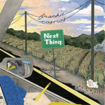 FRANKIE COSMOS - NEXT THING (VINILO SIMPLE)