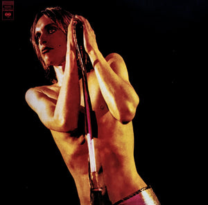 IGGY POP AND THE STOOGES - RAW POWER (VINILO DOBLE) (INCLUYE BOOKLET)