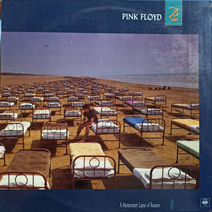 PINK FLOYD - A MOMENTARY LAPSE OF REASON (2DA MANO)