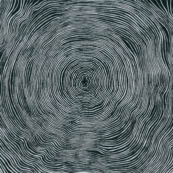 BLEEDING HEART PIGEONS - IS (VINILO DOBLE)