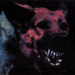 PROTOMARTYR - UNDER COLOR OF OFFICIAL RIGHT (VINILO SIMPLE)